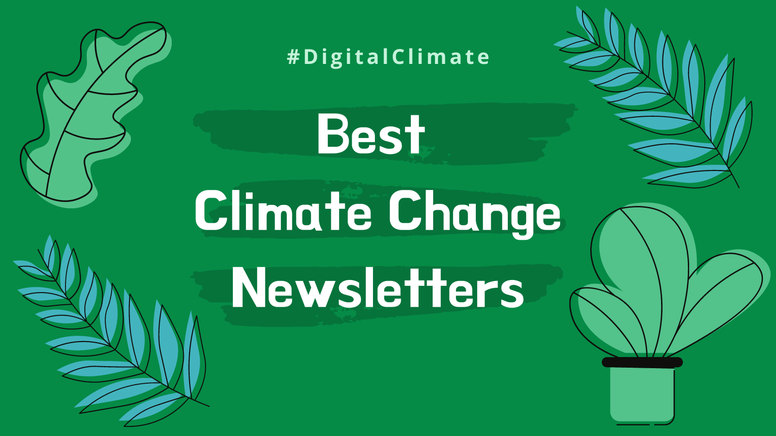 Best Climate Change Newsletters