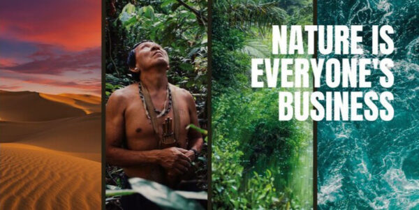 Business for Nature header image with the slogan "Nature is everyone's business" and a montage of images including desert, jungle and sea