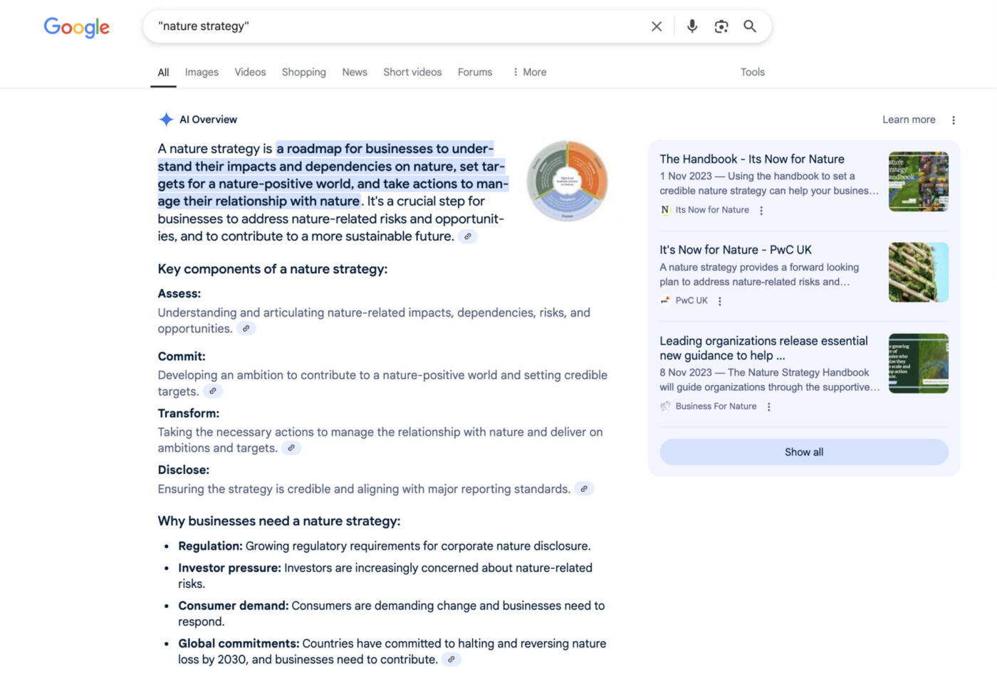 NfN Nature Strategy Search Snippet May
