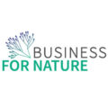 BfN square logo