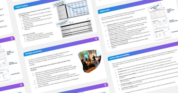 Digital Strategy Agency