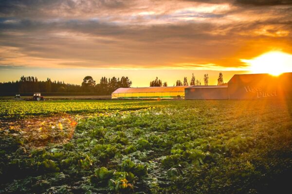 Nature Food Farming and Biodiversity Digital Agency